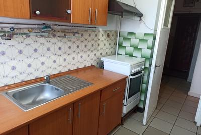 2 camere Calea București, finisaje clasice / centrala, AMPLASAMENT DEOSEBIT ! - 14