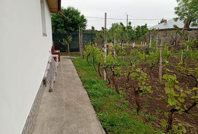 Casă 3 camere, în Tulucești - 11