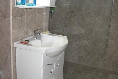 Închiriere apartament 2 camere cu garaj,  lângă Teatrul Național - 7