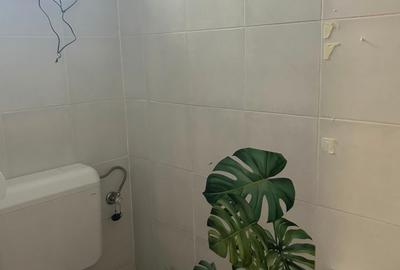 Spațiu comercial Drumul Taberei, lângă Clinica Brâncuși,Trifazic - 12