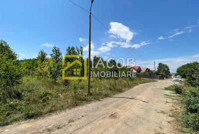 Teren Intravilan 5165 mp Str. Aeroportului Bacau - 6