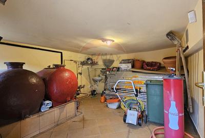 Casă de vânzare Bran Sohodol teren  intravilan 4.831 mp două locuințe - 30