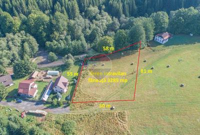 Teren Construcții intravilan de 3289 mp, în Babarunca