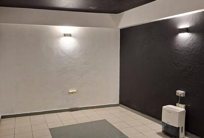 Vila singur curte, reprezentativa, renovata la stadard superior - 4