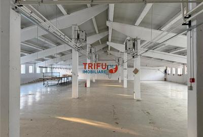 Spațiu industrial, de 793 mp, în Sebeș