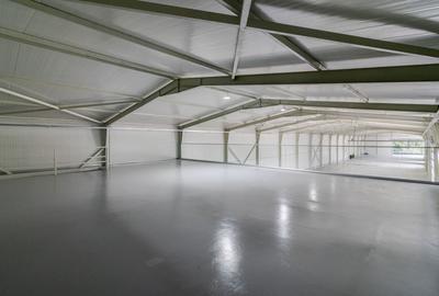 Reprezentanta PREMIUM| Hala Showroom 988mp, locatie exceptionala! - 16