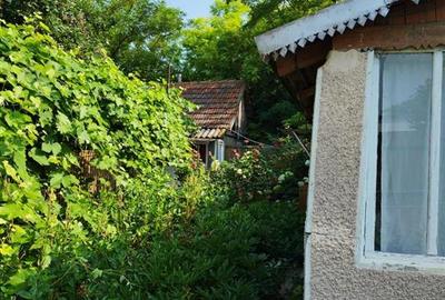 Casa 6 camere, teren 1586 mp, deschidere 22 m, Cazasu - 3