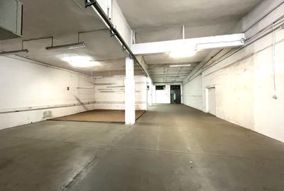 Hală industrială depozitare de inchiriat Zona Lipovei Iulius Mall Timișoara - 3