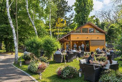 Spatiu comercial Parcul Herastrau-Restaurant Cafeanea-Vanzare-Asociere - 4