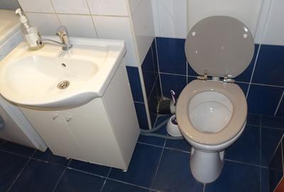 Inchiriez apartament 2 camere dec, Deva,I. Maniu, et 2, disponibil din 01.07.26 - 8