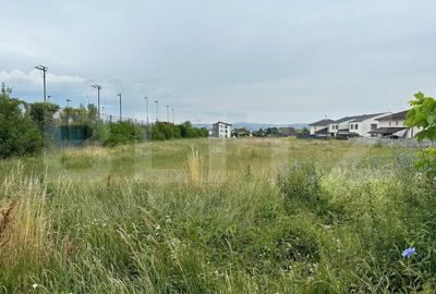 Teren Construcții intravilan de 7441 mp, în Cetate