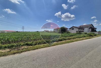 Teren intravilan de vânzare  4.087 mp  Clinceni Olteni Ilfov - 2