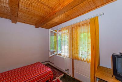 De vanzare casa la munte, Cheia, Prahova, P+2+Pod, 200mp, gradina - 13