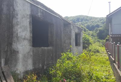 Casa demolabila in Runcu-Badeni - 8