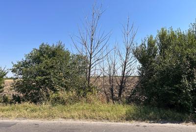 NOVARIS REAL ESTATE – TEREN INTRAVILAN DE VÂNZARE 5600 MP - 4