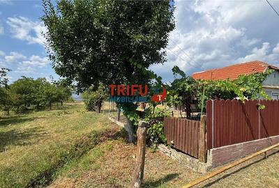 Teren intravilan de 10.651 mp – Oarda de Sus, Alba Iulia - 1