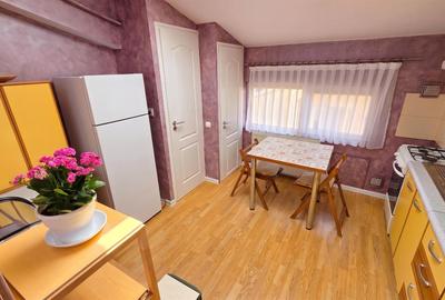 NOU! Apartament 1 camera 48mpGara Facultatea de Litere si Piata Garii - 4