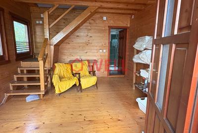 DOUĂ O PENSIUNE ȘI O CASĂ DE VACANȚĂ, SITUATĂ PE ACEAȘI CURTE - 2