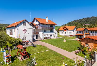 PENSIUNEA SILVANKA ȘI ÎNTREGUL DOMENIU TURISTIC DE VÂNZARE ÎN VÂLCELE! - 2