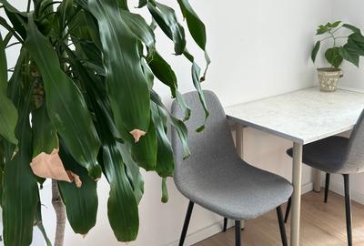 Apartamentul, primul chiriasi - 16