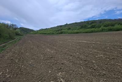 Teren agricol extravilan de 18175 mp, în Gușterița