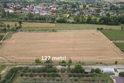 TEREN INTRAVILAN DE VÂNZARE – ȘOMCUTA MARE, MARAMUREȘ - 4