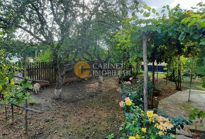 🏡 CASĂ BĂTRÂNEASCĂ LOCUIBILĂ DE VÂNZARE – TRIFEȘTI, IAȘI 🏡 - 6