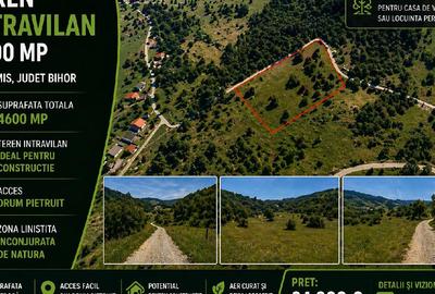 Teren agricol intravilan de 4600 mp, în Damiș