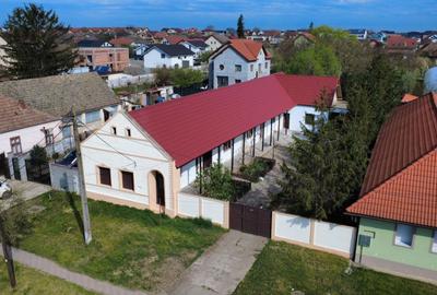 Casă individuală cu 3 camere în Sânandrei