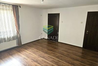 Domenii, vila cu 5 camere de inchiriat, 250 mp utili - 8