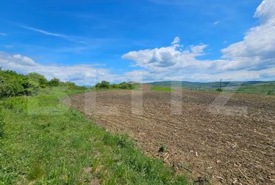 Teren agricol extravilan de 5800 mp, în Periferie