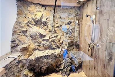 Casa individuala cu 3 camere 2 bai si teren 172 mp situata in Sibiel - 14