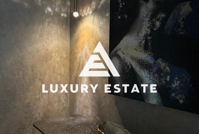 Inchiriere apartament de lux la prima utilizare in zona Herastrau Nordului - 39