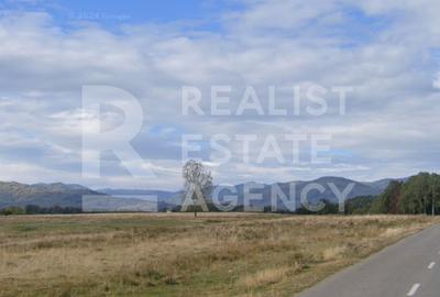 Teren intravilan 4,2 ha de vânzare| ideal investiție| POT 40%| Prahova - 5