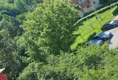 Apartament 3 camere decomandat Parcul Ursu-Racadau,mobilat și utilat - 4
