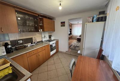 Casa de vanzare P+M cu teren 3300 mp, Hidiselu de sus - 4