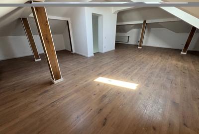 Individuala Otopeni, Odaile, curte MARE, 6 CAMERE - 13