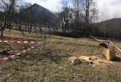 Teren Construcții intravilan de 715 mp, în Olănești