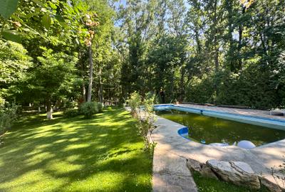 Vilă de lux 8 camere -600 mp si  4.750 mp teren cu ieșire in pădure zona pipera - 3