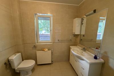 Domnești, casa pe parter, 400mp, 117mp utili, 3 camere, mobilată și utilată - 11