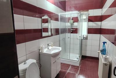 Proprietate generoasă, 18 camere, 800 mp utili, teren 1.300 mp – Iași, Bucium - 37