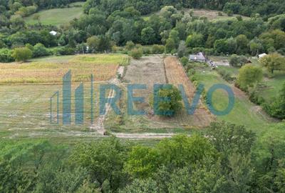 Teren intravilan lângă pădure, Racova - 2