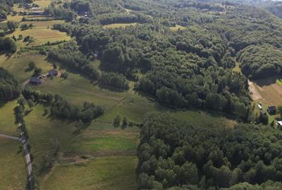 Exclusivitate | Teren de vanzare, 38.781 mp în Râșca - 2