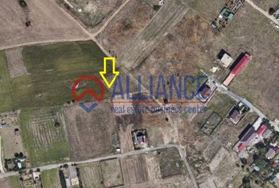 VIILE NOI - Teren în spate la Vila Cucoanei - 1