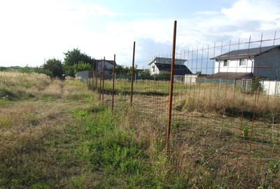 Domnesti-teghes strada Bucegi intersectie Oltenitei - 5