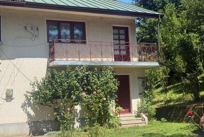 Vila Bughea de Jos - Campulung - 1