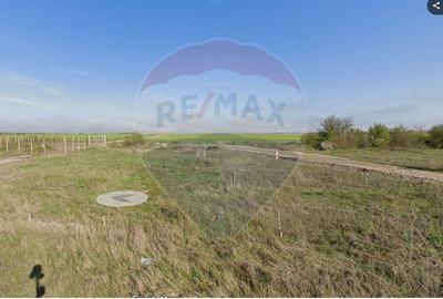 Teren intravilan 11600mp | Clinceni | Oportunitate de Investiție - 3