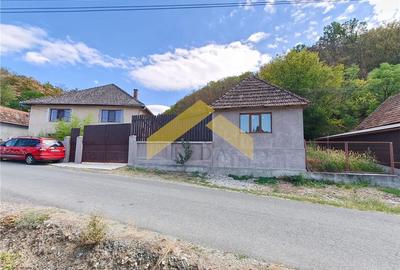 Casa de vanzare localitatea Cladova, judetul Arad - 16