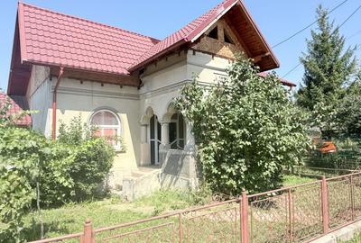 Casa interbelică cu arhitectură deosebită+Anexa și teren 1570 mp - 26