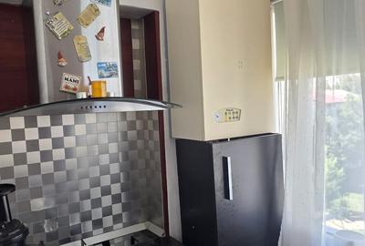 Apartament 3 camere, amenajat si mobilat, 450euro/luna, zona  Alexandru - 5